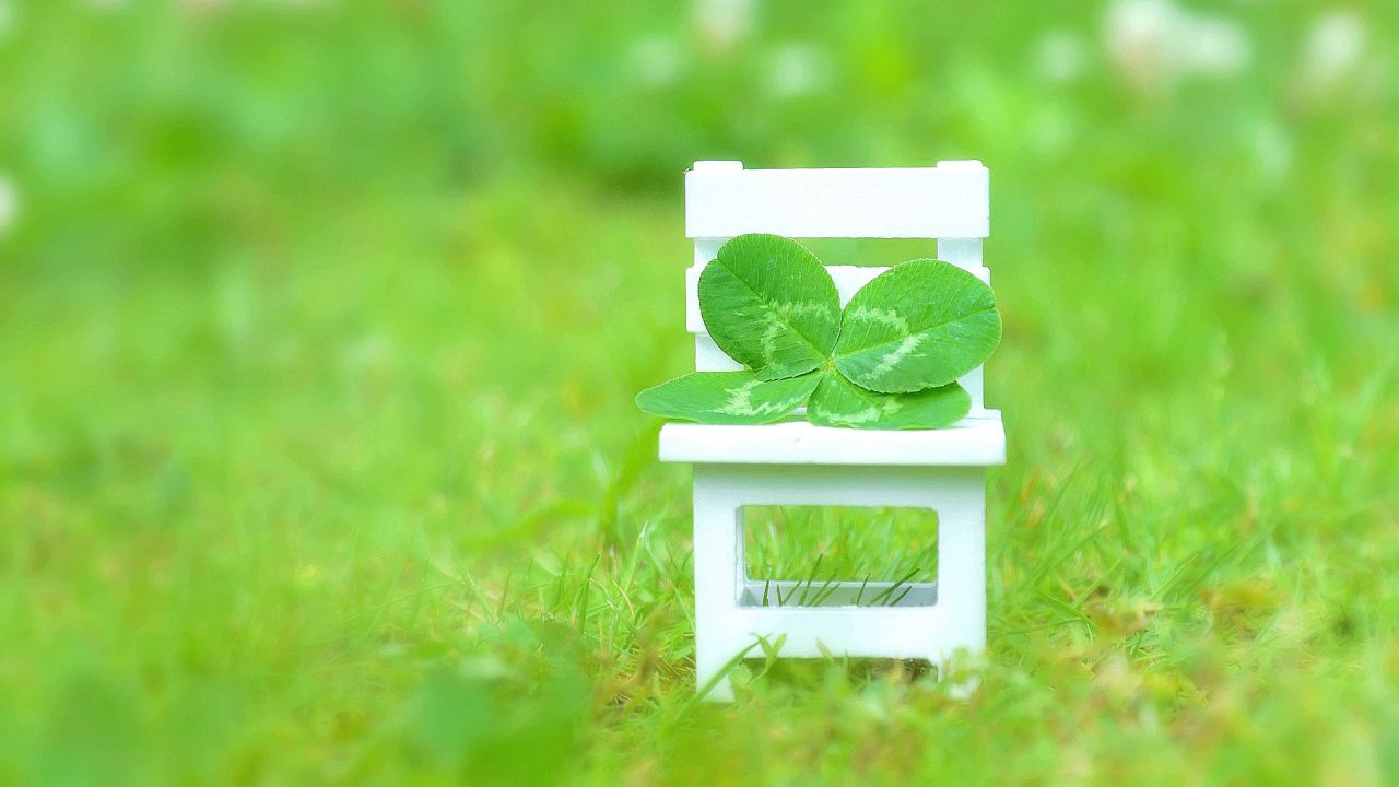 https://www.youtube.happy-clovers.com/wp-content/uploads/2022/02/CloverChairMV1280-1.jpg